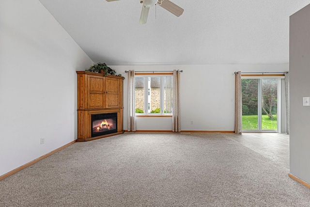 311 Common St, Waterville, MN 56096 - photo 8