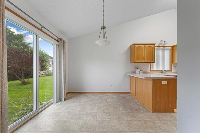 311 Common St, Waterville, MN 56096 - photo 12