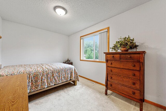 311 Common St, Waterville, MN 56096 - photo 21