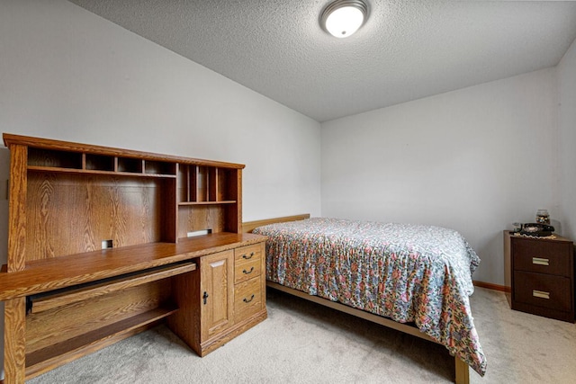 311 Common St, Waterville, MN 56096 - photo 22