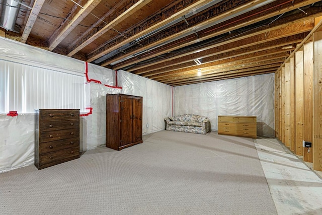 311 Common St, Waterville, MN 56096 - photo 25