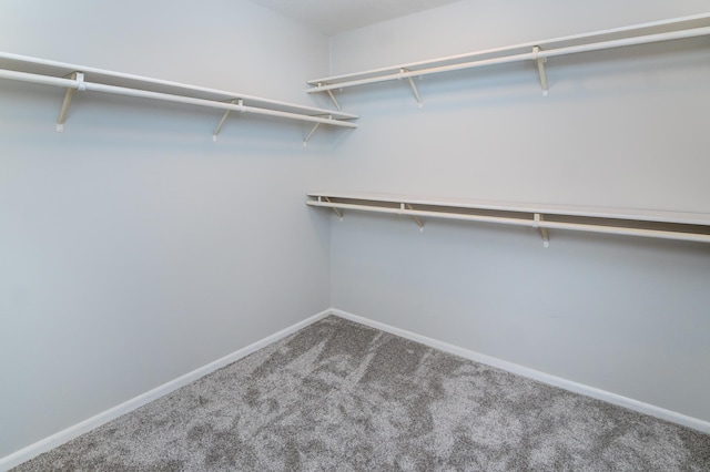 2221 Youngman Ave Unit 503, Saint Paul, MN 55116 - photo 24