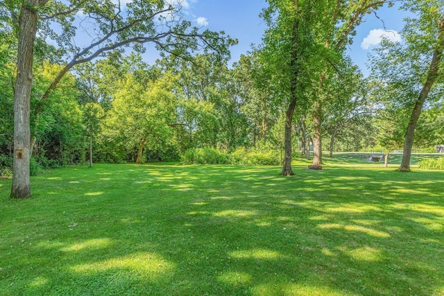 302 Hickory St, Royalton, MN 56373 - photo 28