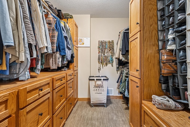 15494 Camp Winona Trl, Faribault, MN 55021 - photo 31