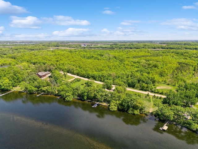 15494 Camp Winona Trl, Faribault, MN 55021 - photo 70