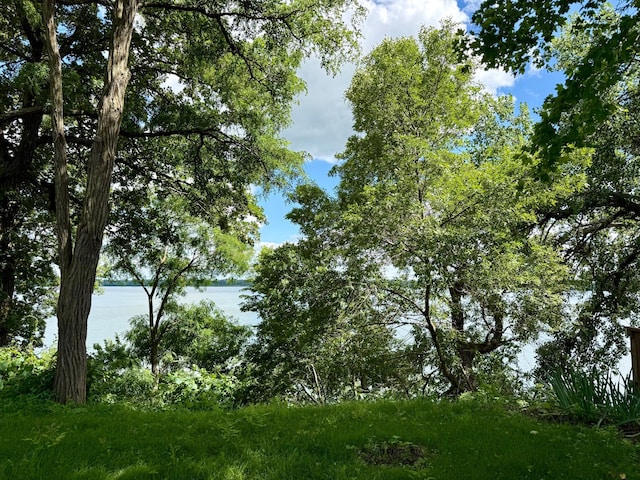 14 Silvers Resort, Elysian, MN 56028 - photo 3