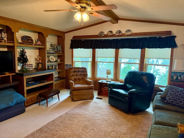 14 Silvers Resort, Elysian, MN 56028 - photo 9