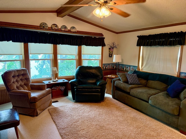 14 Silvers Resort, Elysian, MN 56028 - photo 10