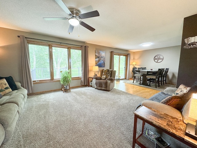 26760 Riverside Dr, Fergus Falls, MN 56537 - photo 4