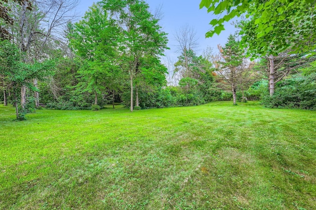 9480 206th St N, Forest Lake, MN 55025 - photo 35