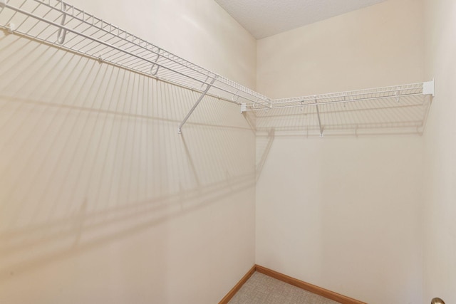 11750 Xenia St NW, Coon Rapids, MN 55433 - photo 25