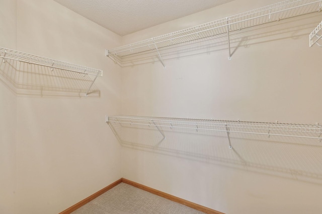 11750 Xenia St NW, Coon Rapids, MN 55433 - photo 22