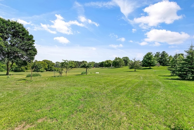 14124 192nd Ave NW, Elk River, MN 55330 - photo 31
