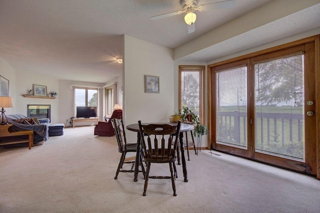 26825 German Rd, Blakeley Twp, MN 56011 - photo 12