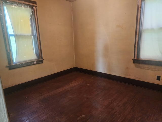 66751 State Highway 19, Gibbon, MN 55335 - photo 10
