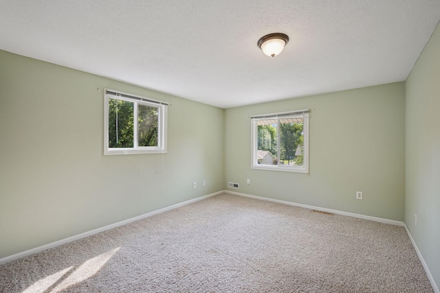 10655 103rd Ave N, Maple Grove, MN 55369 - photo 16