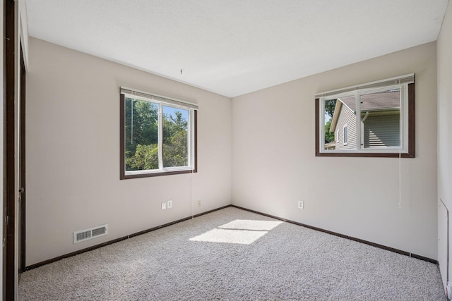 10655 103rd Ave N, Maple Grove, MN 55369 - photo 20