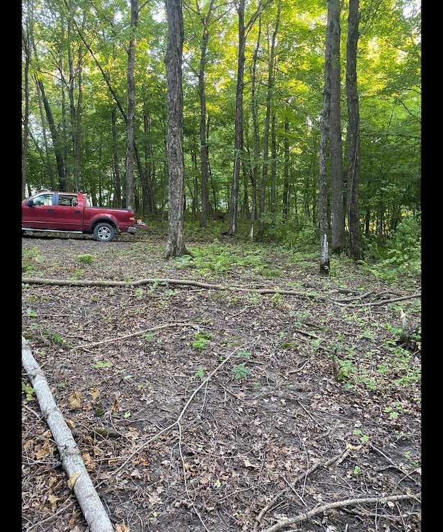 TBD Tbd, Mazeppa Twp, MN 55956 - photo 4