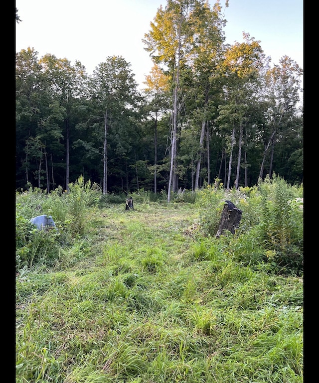 TBD Tbd, Mazeppa Twp, MN 55956 - photo 7