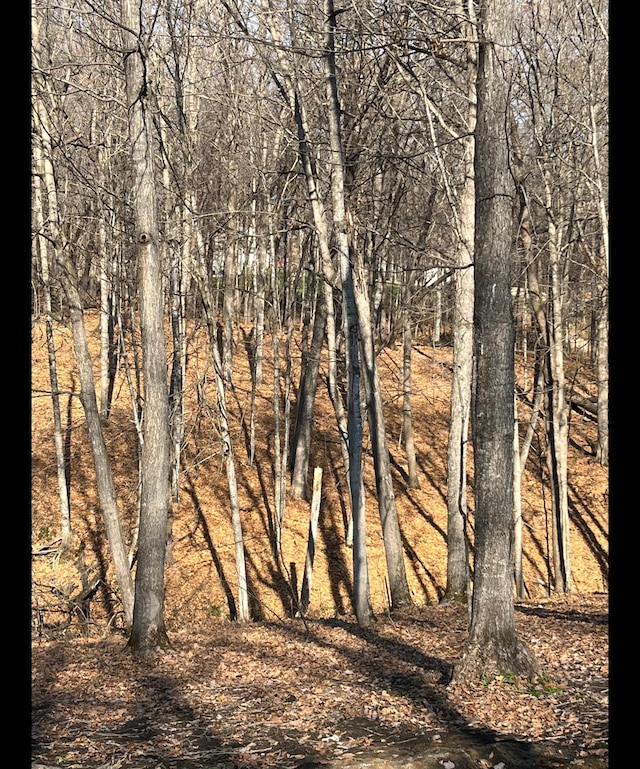 TBD Tbd, Mazeppa Twp, MN 55956 - photo 9