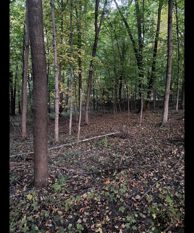 TBD Tbd, Mazeppa Twp, MN 55956 - photo 10