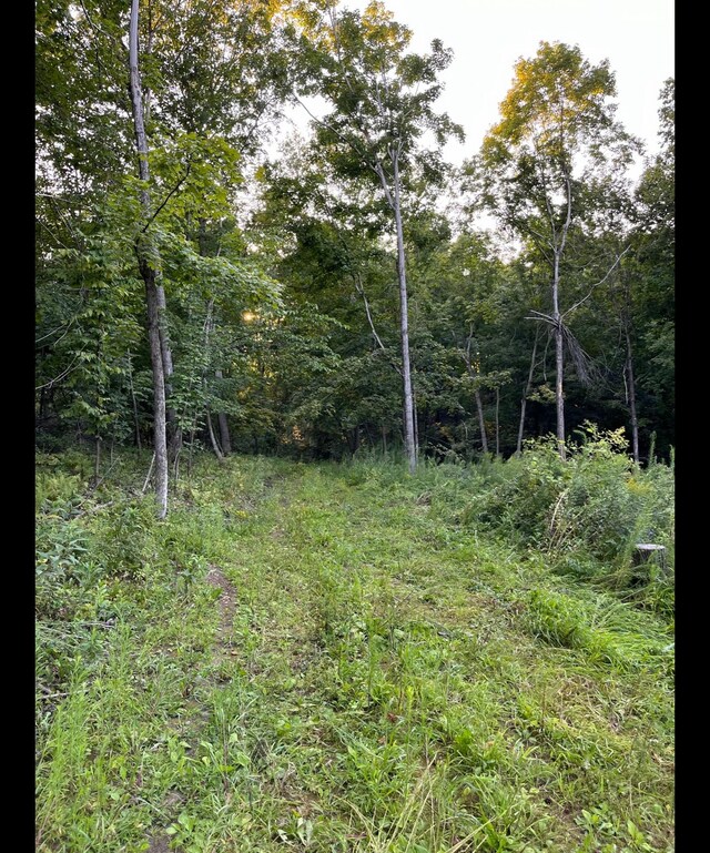 TBD Tbd, Mazeppa Twp, MN 55956 - photo 11