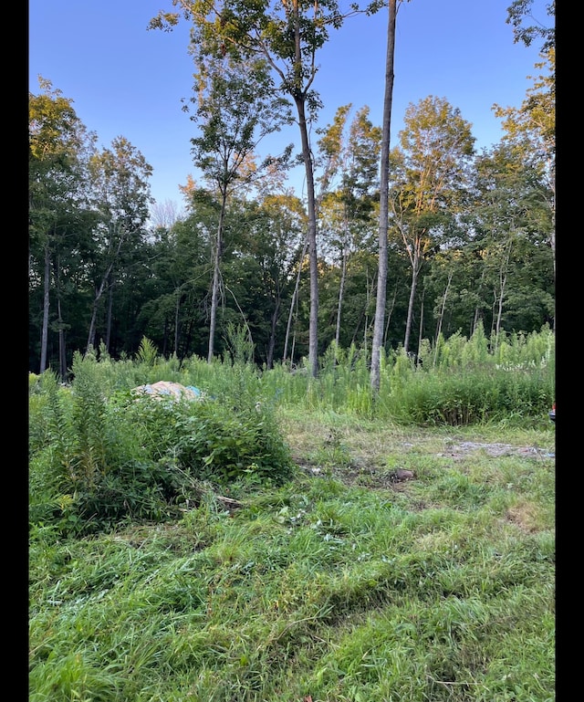 TBD Tbd, Mazeppa Twp, MN 55956 - photo 6
