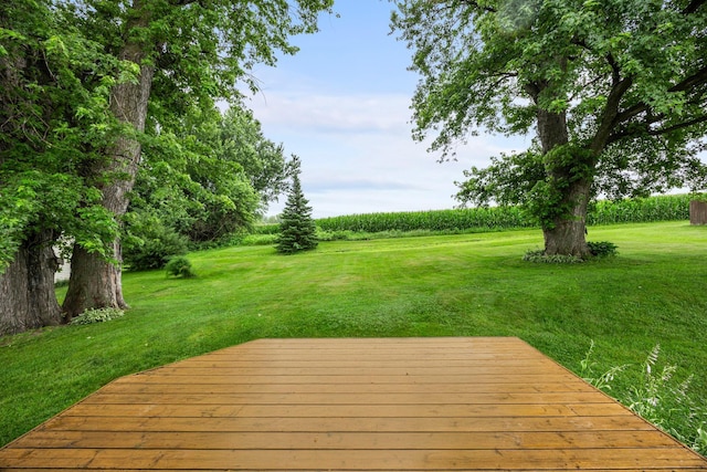 13380 County 1st Blvd, Cannon Falls, MN 55009 - photo 34
