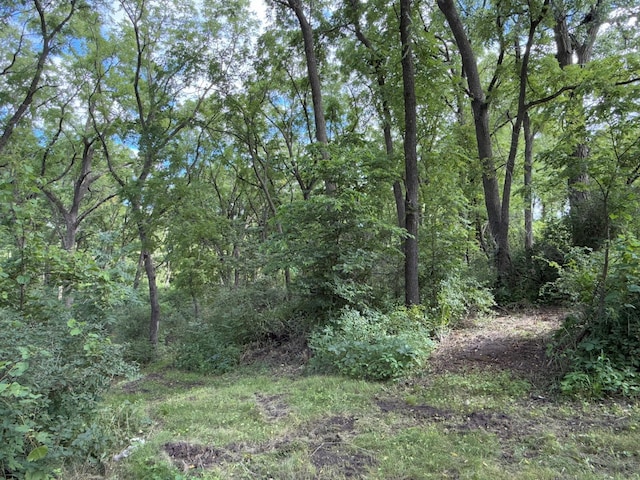TBD 65th Ave SE, Rochester, MN 55904 - photo 19