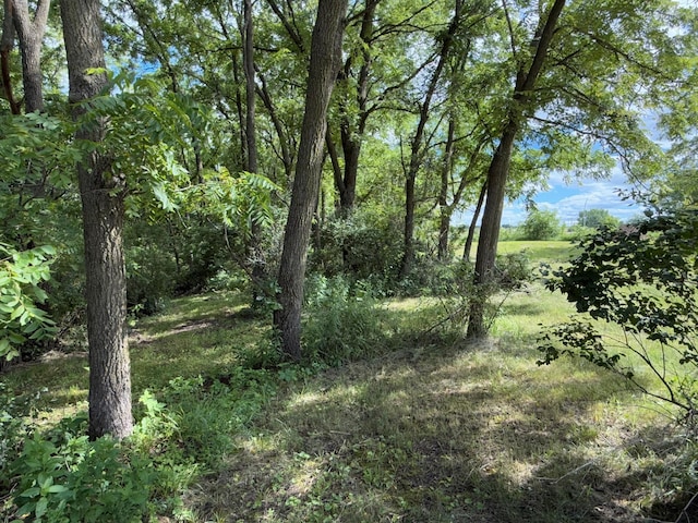 TBD 65th Ave SE, Rochester, MN 55904 - photo 21