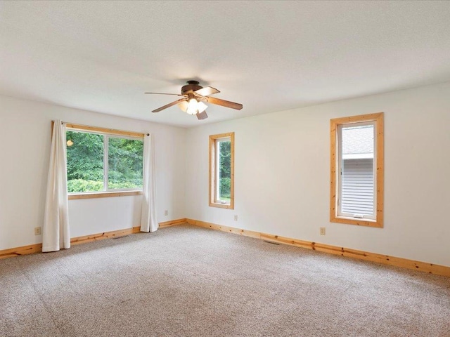 13807 13th Ave SW, Sylvan Twp, MN 56473 - photo 12