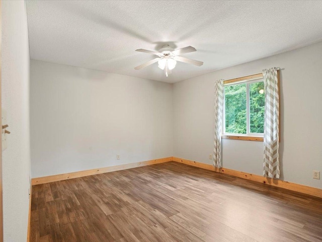 13807 13th Ave SW, Sylvan Twp, MN 56473 - photo 17