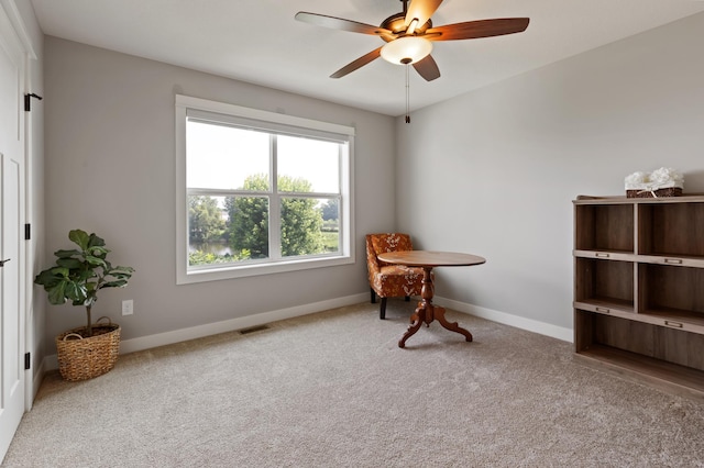 12417 Alder St NW, Coon Rapids, MN 55448 - photo 25