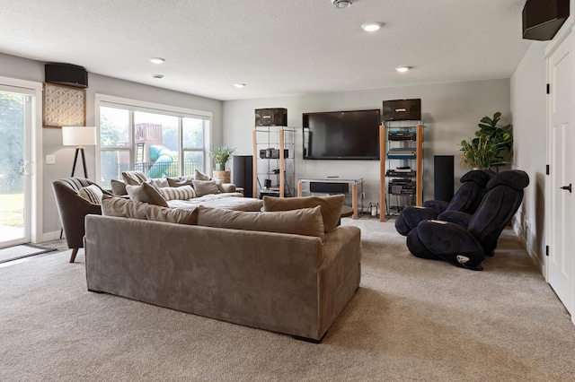 12417 Alder St NW, Coon Rapids, MN 55448 - photo 31