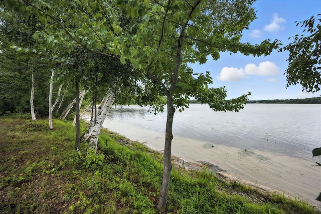 4926 Susanville Dr, Brainerd, MN 56401 - photo 31