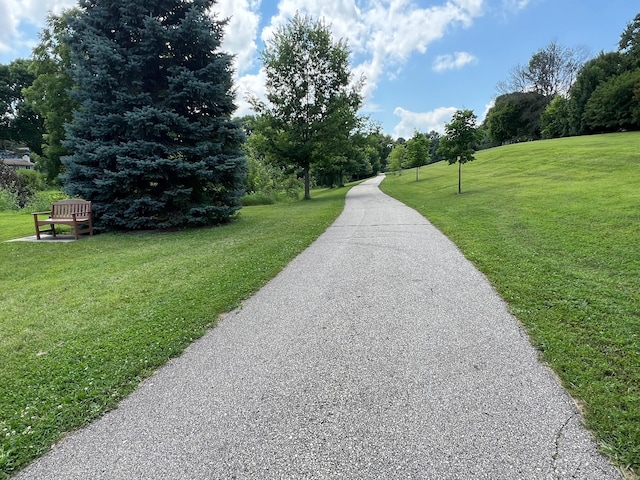 3002 7th Ave NW, Rochester, MN 55901 - photo 2