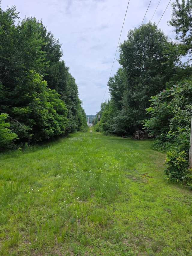 TBD Folsom St, Taylors Falls, MN 55074 - photo 2