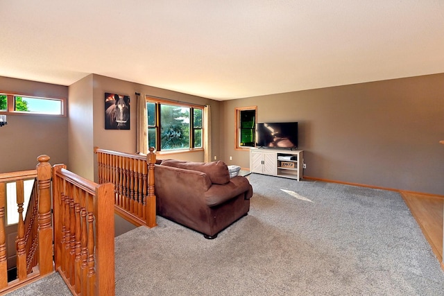 1009 Fairway Blvd, Howard Lake, MN 55349 - photo 20