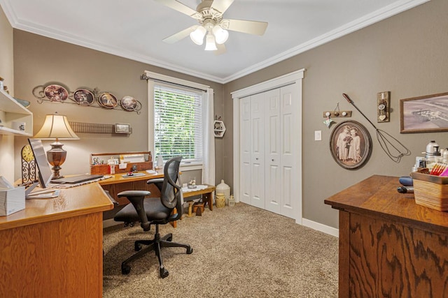 137 Franklin Ave, Owatonna, MN 55060 - photo 29