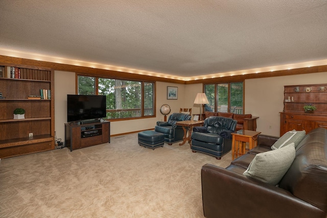 1135 1st St NW, Oronoco, MN 55960 - photo 5