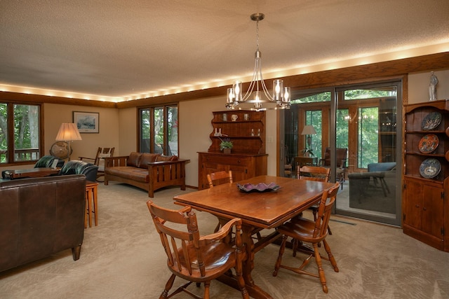 1135 1st St NW, Oronoco, MN 55960 - photo 9
