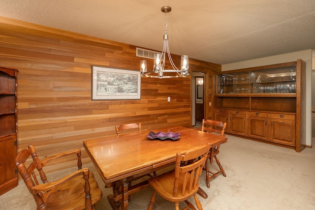 1135 1st St NW, Oronoco, MN 55960 - photo 10