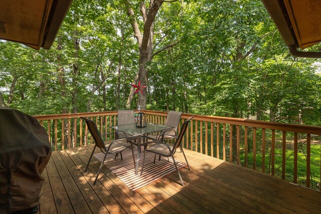 1135 1st St NW, Oronoco, MN 55960 - photo 13