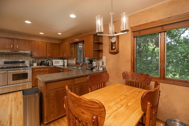 1135 1st St NW, Oronoco, MN 55960 - photo 16