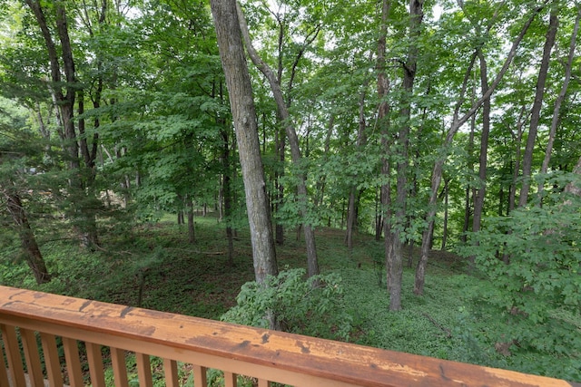 1135 1st St NW, Oronoco, MN 55960 - photo 39