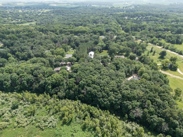 1135 1st St NW, Oronoco, MN 55960 - photo 51