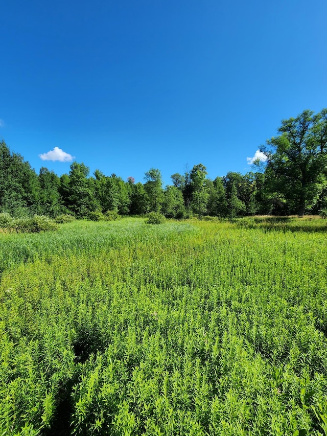 16775 Brook Park Rd, Grasston, MN 55030 - photo 35