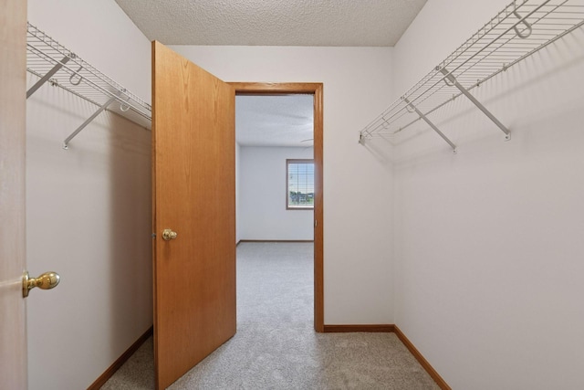 1651 Liberty Ln, Waconia, MN 55387 - photo 21