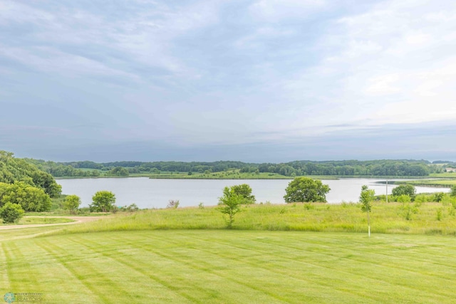 15665 Grove Lake Rd, Scambler Twp, MN 56572 - photo 11