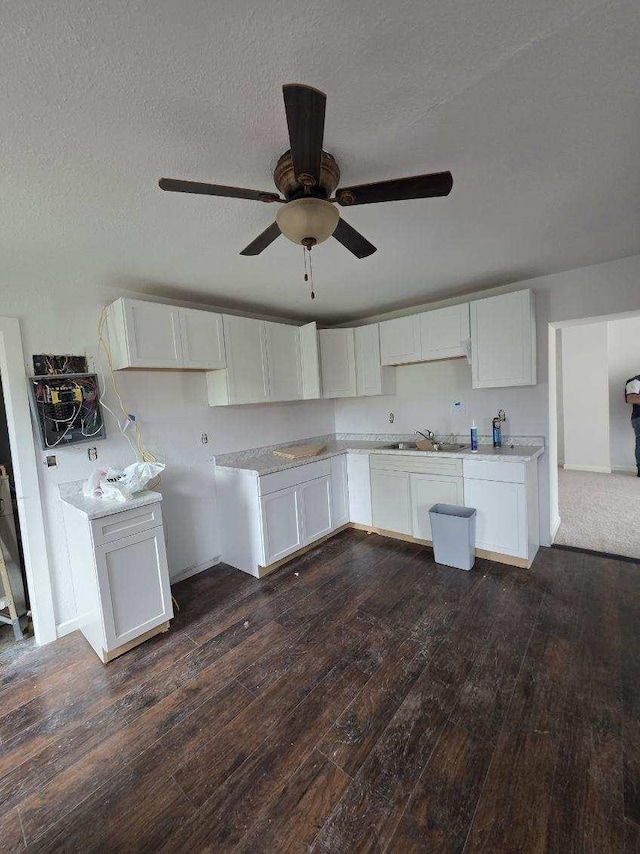 241 Webster St N, Kasota, MN 56050 - photo 7